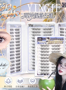 颖睫落日椰林免胶单簇卷翘睫毛