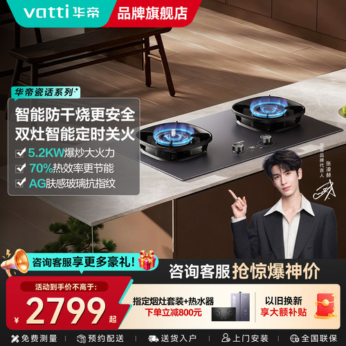 【瓷话系列】华帝燃气灶i10318F家用煤气灶双灶防干烧天然气灶Y9