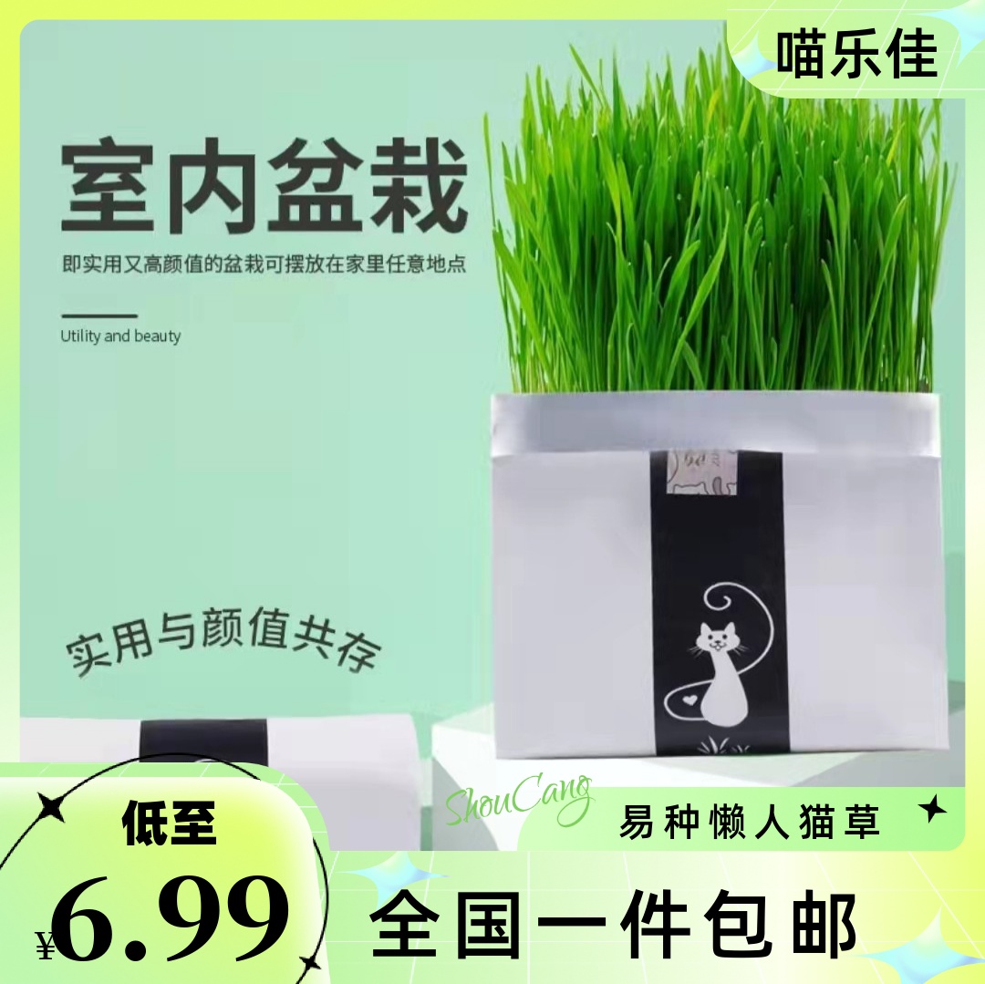 喵乐佳猫草去毛球猫咪零食小麦成猫幼猫无土水培懒人盆栽化毛球