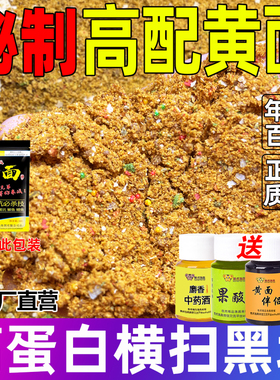 小黄面鱼饵正宗黑坑抢鱼偷驴散装鲤鱼饵料黄面面手窝一体钓鱼散炮