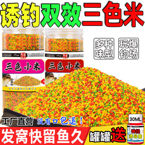 天池霸水鲫鱼鲤鱼诱食钓鱼小米