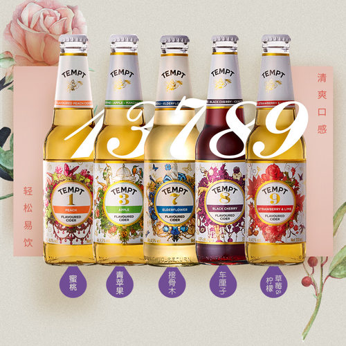 单瓶 诱惑七号tempt接骨木7号1号3号8号9号果酒西打精酿啤酒330ml
