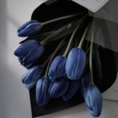 进口午夜蓝布朗尼郁金香鲜花情人节圣诞节表白礼物花束家用 包邮