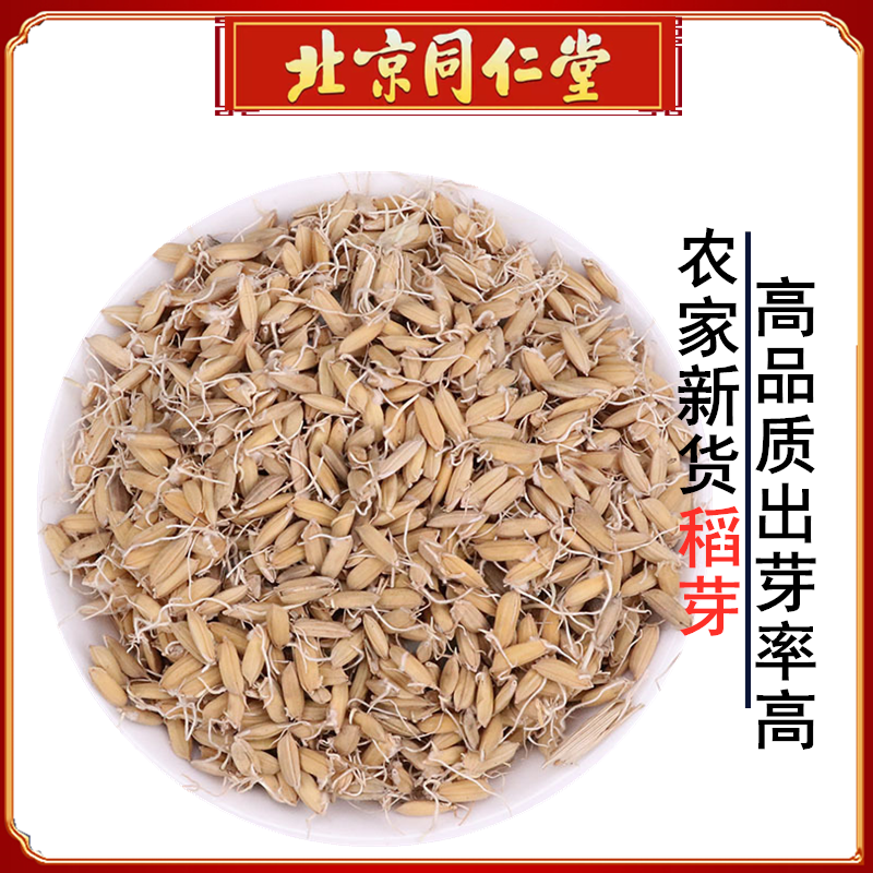 同仁堂稻芽500g中药材生稻芽非炒稻芽新货蘖米谷另售麦芽生谷芽