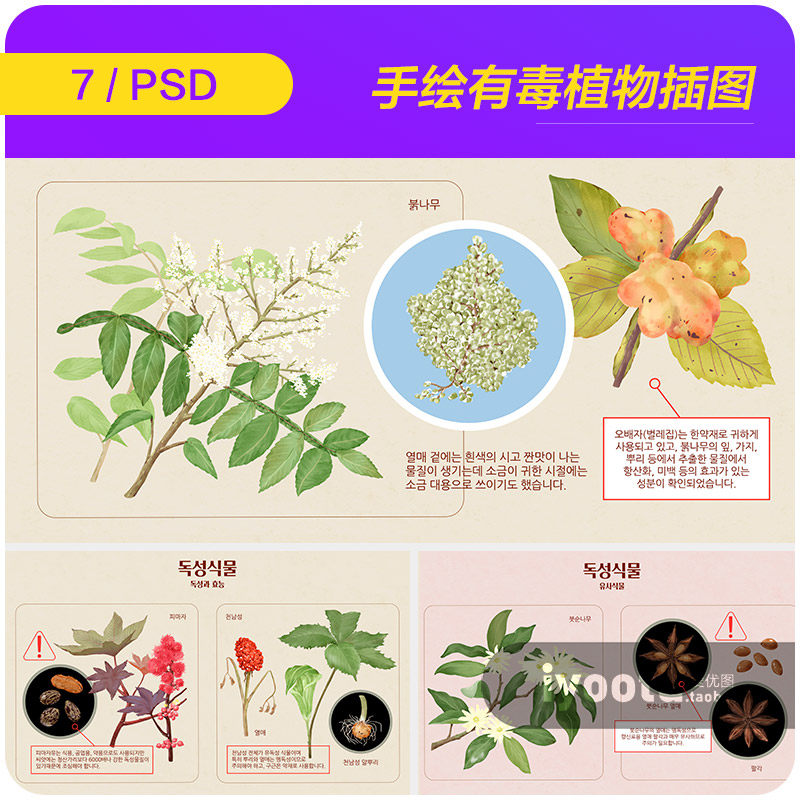 手绘自然草本有毒植物鲜花根茎插图海报psd分层设计素材i2291503