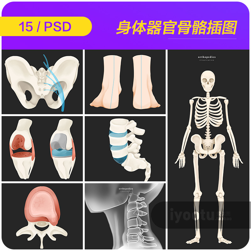 手绘人体器官骨骼健康疾病宣传插图海报psd设计素材源文件992308