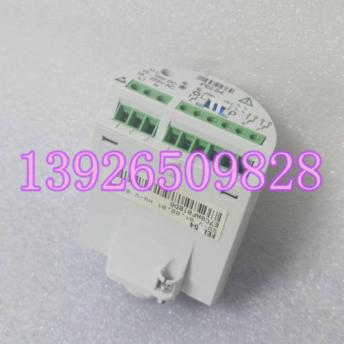 E+H恩格豪斯 配件FEL54 SW-V 01.00.01 HW-V 01.00 E7C0AF01BD6