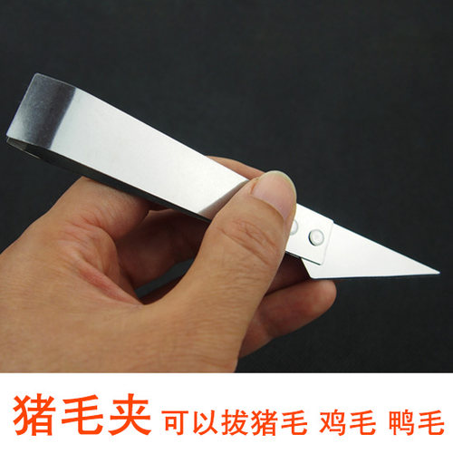 不锈钢拔猪毛镊子好用