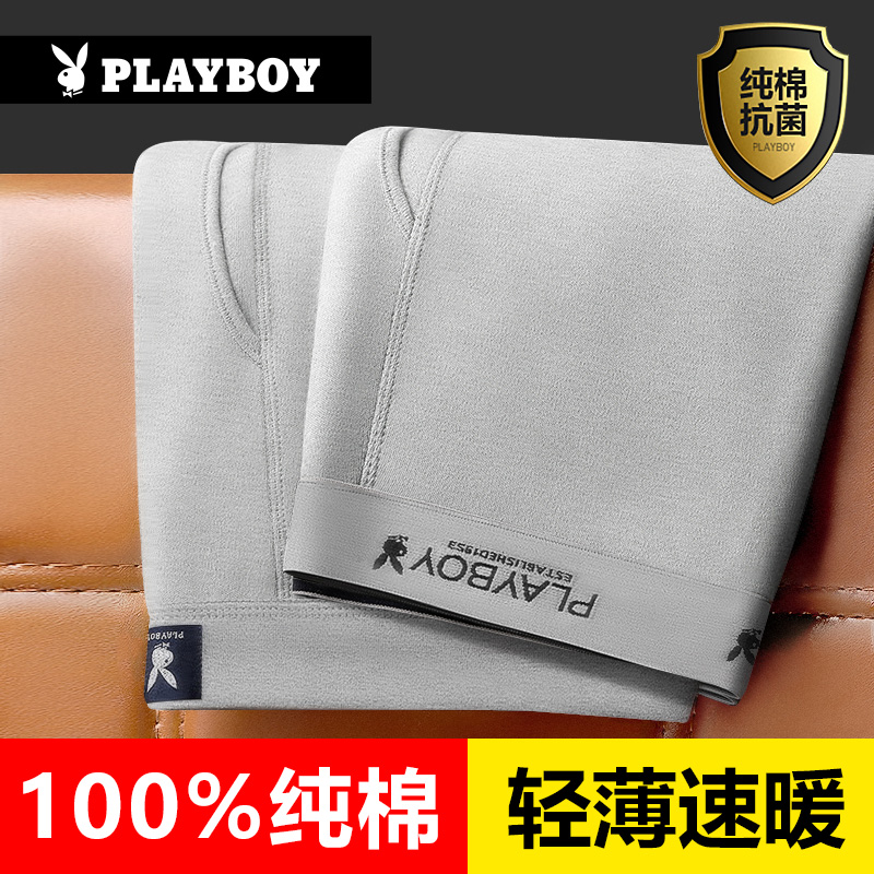 花花公子秋裤男100%棉毛裤