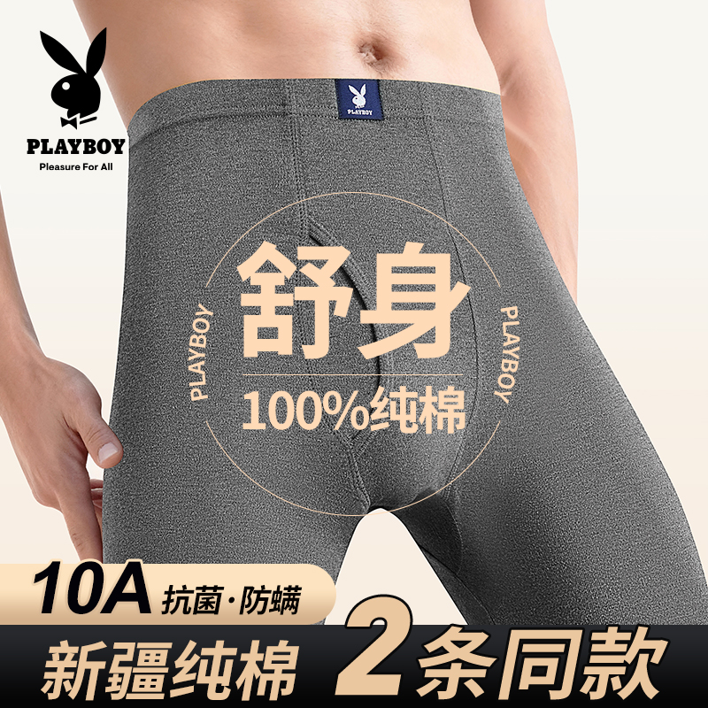 花花公子秋裤男100%棉毛裤