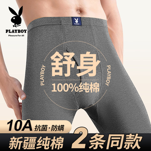 花花公子秋裤男100%棉毛裤