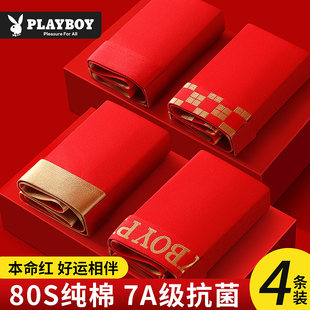 2025蛇年男款 花花公子本命年男士 纯棉四角裤 红色短裤 结婚礼物 内裤