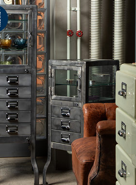 稻谷藏库DULTON 金属医用柜 玻璃陈列柜 家用收藏储物柜