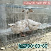 兔笼子鸡笼家用鸽子养殖笼鹌鹑笼大兔笼子镀锌笼运输笼子母笼大号