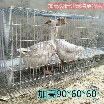兔笼子鸡笼家用鸽子养殖笼鹌鹑笼大兔笼子镀锌笼运输笼子母笼大号