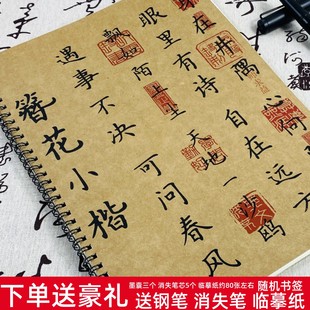 簪花小楷女生小清新字帖金句文案励志语录钢笔临摹硬笔好看练字帖