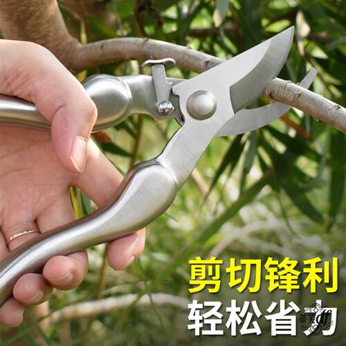 果树修枝剪刀不锈钢果树园林花艺剪多功能修树枝剪花卉花剪