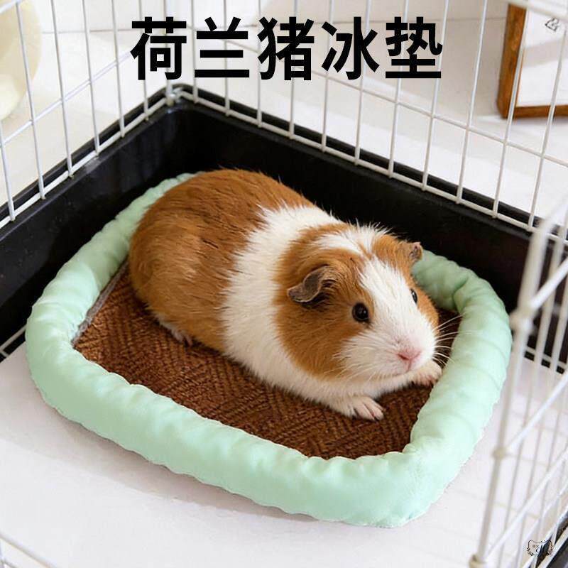 荷兰猪睡窝冰垫夏季冰丝冰窝豚鼠专用藤编垫子冰凉睡觉散热宠物