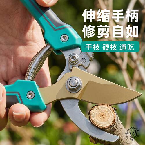 果树剪枝专用剪刀园艺剪刀剪树枝专用修枝剪果树剪枝专用工具剪花