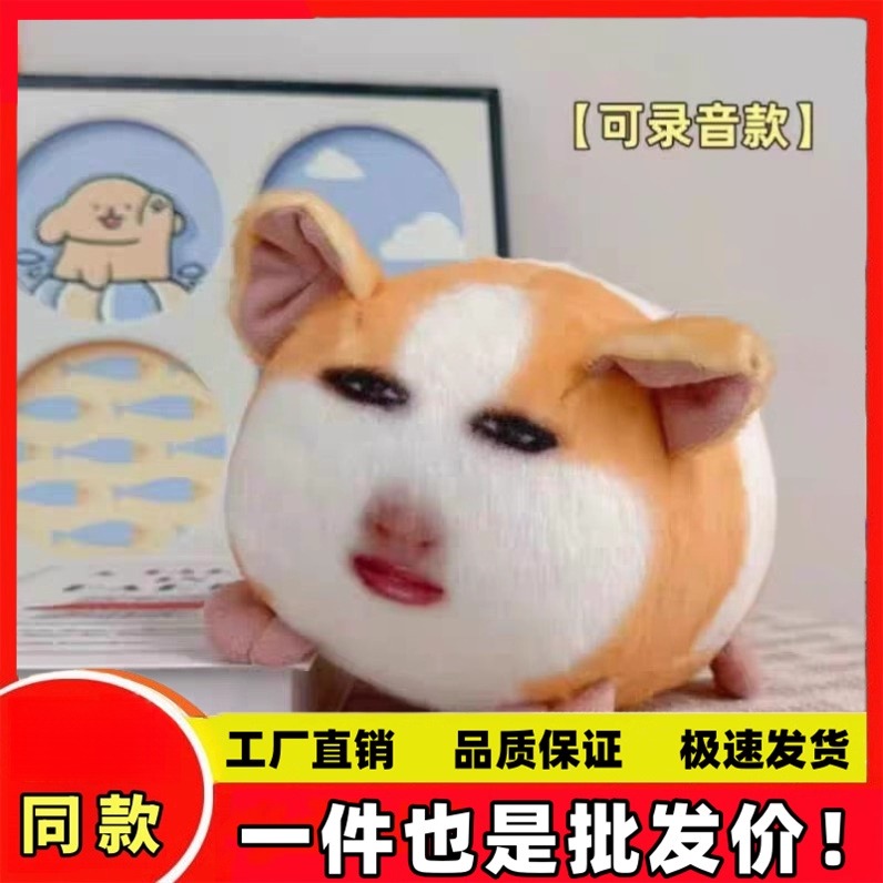 【仙女下凡】猪妞挂件毛绒玩具搞怪荷兰猪玩偶可发声表情包娃礼物