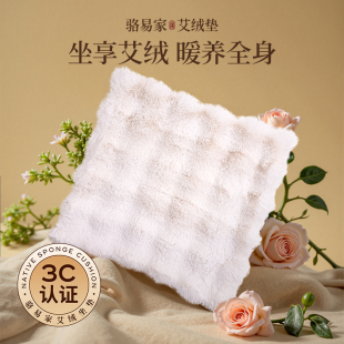 骆易家2025新款 女生专用艾灸垫电加热坐垫艾草去湿气热敷助眠养生