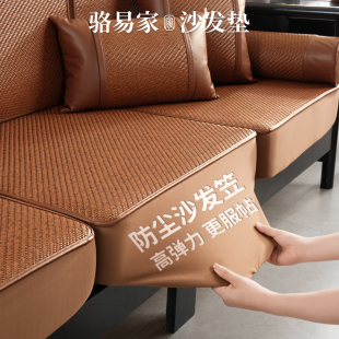 骆易家夏季 防猫抓沙发盖布 沙发笠防水全包沙发垫四季 通用2025新款