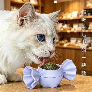 小猫玩具糖果造型猫薄荷猫咪舔舔乐木天蓼磨牙洁齿自嗨宠物玩具