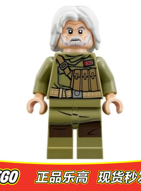 LEGO 乐高 星球大战人仔 sw891 sw0891海军军官 马特 正品 75202