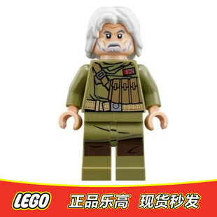 LEGO 乐高 星球大战人仔 sw891 sw0891海军军官 马特 正品 75202