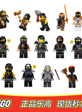 LEGO乐高 幻影忍者人仔 寇 剑道 神龙大师 石铠 幽灵手臂 全新
