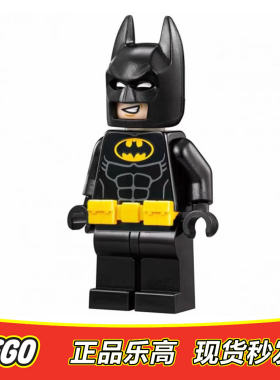 LEGO乐高超级英雄人仔蝙蝠侠sh318含配件全新正品70991 70904