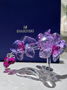 施华洛水晶 兰花家居摆件 5520373 正品