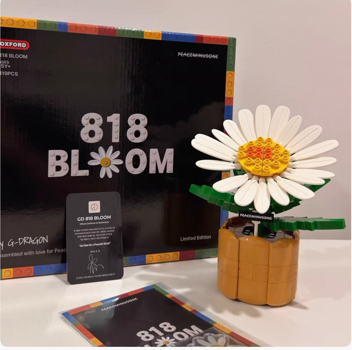 GD权志龙小雏菊积木全新正品