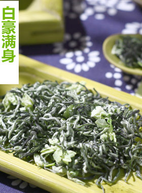 2026新茶叶茉莉花茶特级浓香型蜀茗润飘雪茉莉花茶散装50g