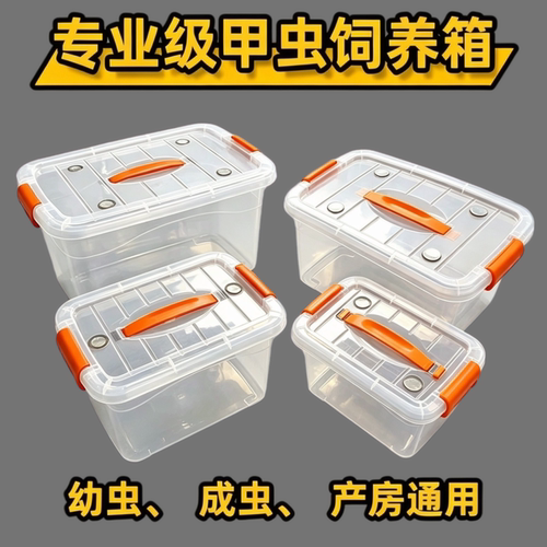甲虫饲养箱独角仙锹甲专业爬虫箱兜虫可透气饲养盒幼虫产房爬宠箱