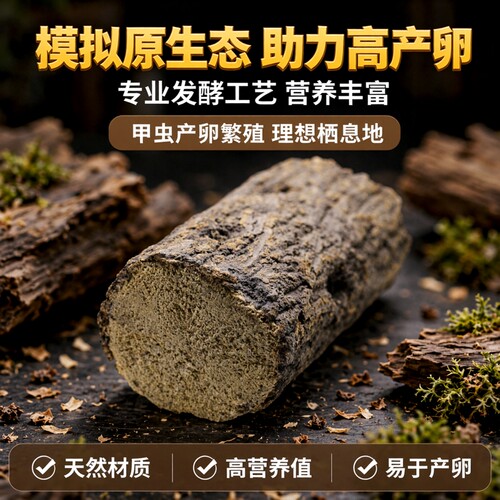 甲虫产木彩虹锹甲成虫产卵繁殖产房发酵木屑独角仙中大扁巨扁锹