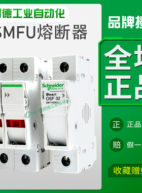 施耐德保险丝座熔断器OSMFU132X导轨1P带灯2P底座3P可换熔芯