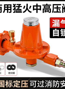 煤气减压阀防爆燃气高压安全阀液化气罐钢瓶中压阀猛火灶专用