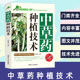 中草药种植技术新农村新技术致富金钥匙丛书专家推荐 权威版 草本药用植物根茎类中草药全草类花类果实种子生长环境和条件栽培技术