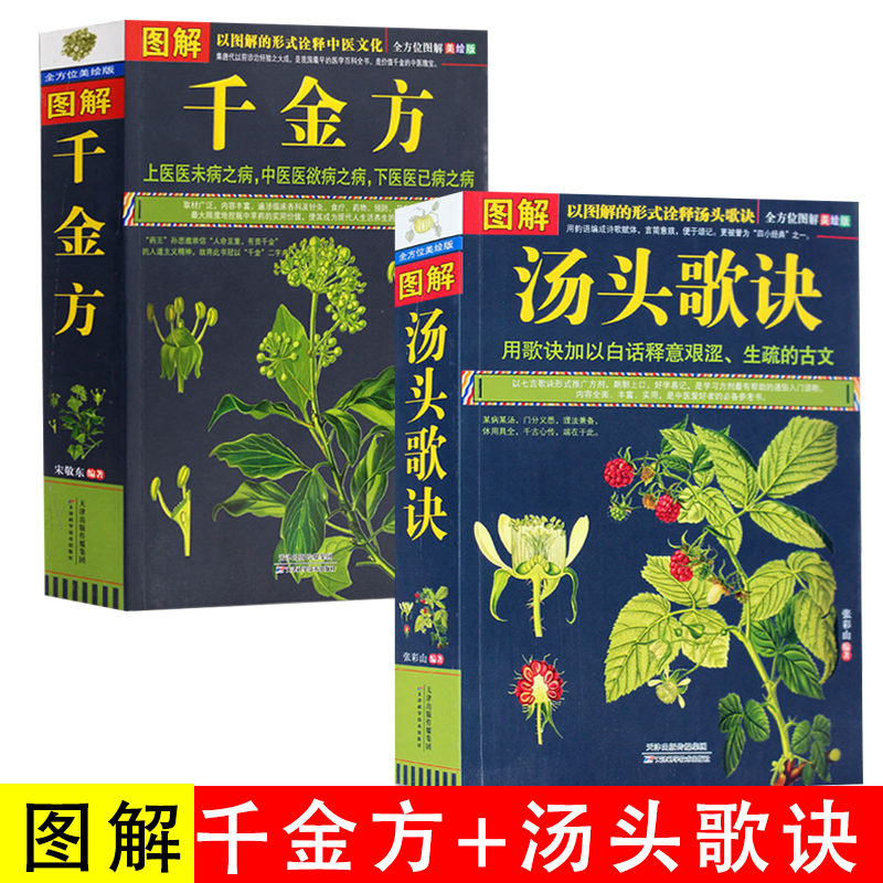 图解正版汤头歌诀+千金方中医基础理论自学百日通中医书籍大全中药材中国药典医学医学类书籍草药书思考中医半夏泻心汤温胆汤