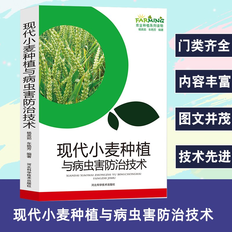 现代小麦种植与病虫害防治技术农业种植标准化生产优质品质选择播种管理施肥与创新技术冬小麦安全储存技术病虫害防治方法高产小麦