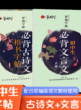 一笔好字罗扬字帖初中生必背文言文古诗文楷书字帖五年中考三年模拟学霸笔记名著导读考点精炼习字帖初中语文字帖练字帖知识清单