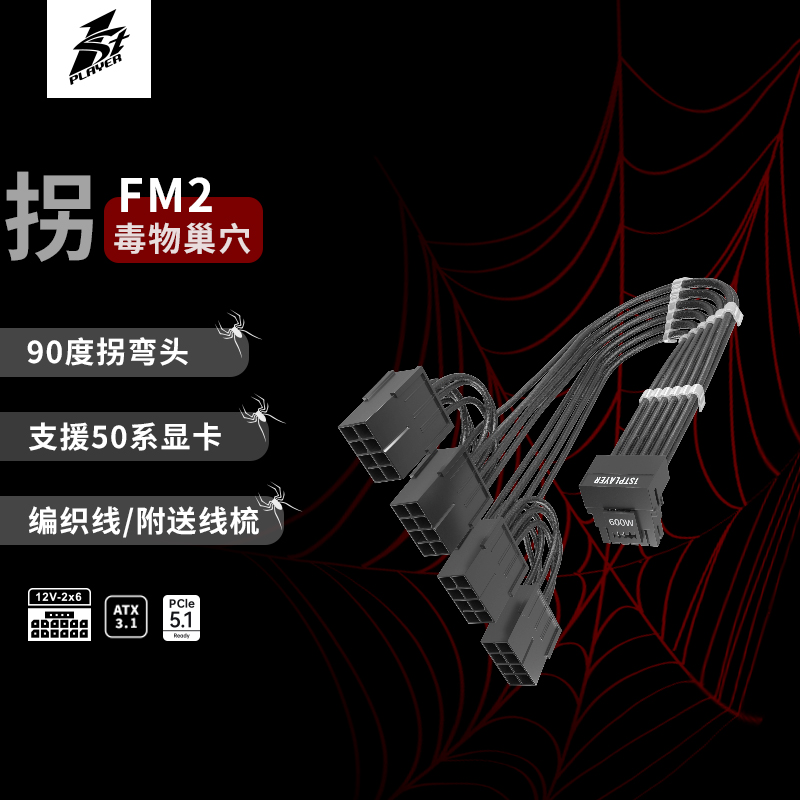 首席玩家ATX3.1电源转接线12V2X6