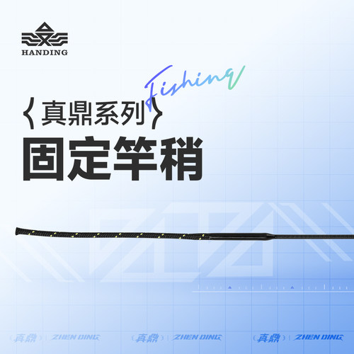 汉鼎真鼎综合竿鲢鳙竿杆稍