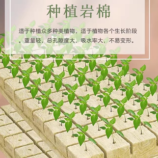 岩棉种植农用无土栽培技术环保蔬菜大棚扦插播种种植块水培岩棉块