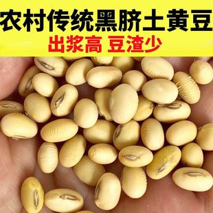 农家老品种黄豆黑豆黄豆豆子大全农家黄豆黄豆老品种非转基因原料