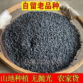 甘肃农家肾形黑豆黄心老品种生豆芽菜豆浆非转基因发芽