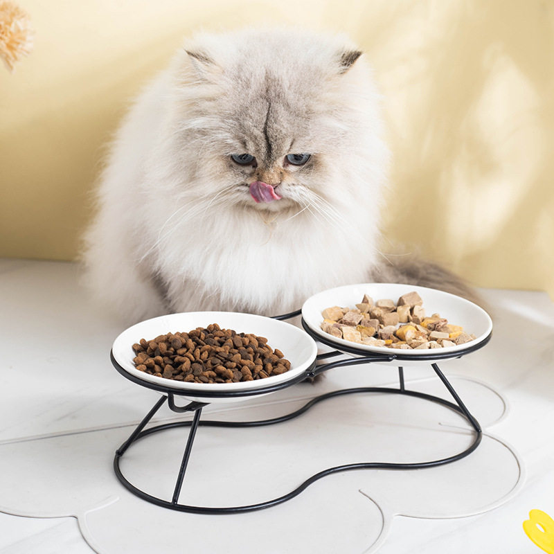 亚马逊跨境猫碗平盘浅口宽口盘子零食盘碗猫碗高脚护颈双碗铁架子,宠物/宠物食品及用品,猫狗碗/慢食碗,淘宝优惠券,粉丝福利购,淘宝优惠卷
