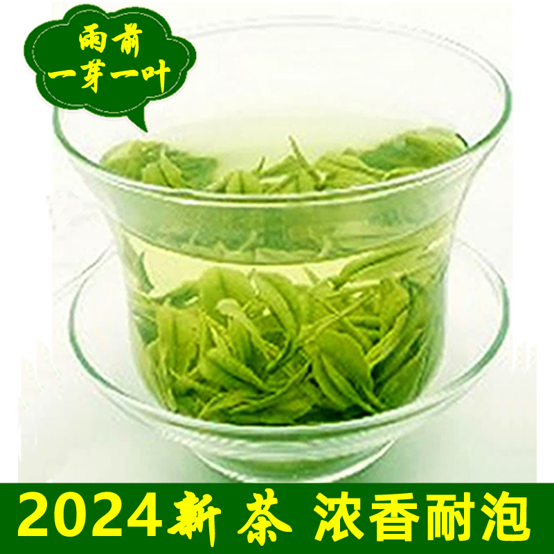 2024新茶信阳毛尖浓香雨前茶500g