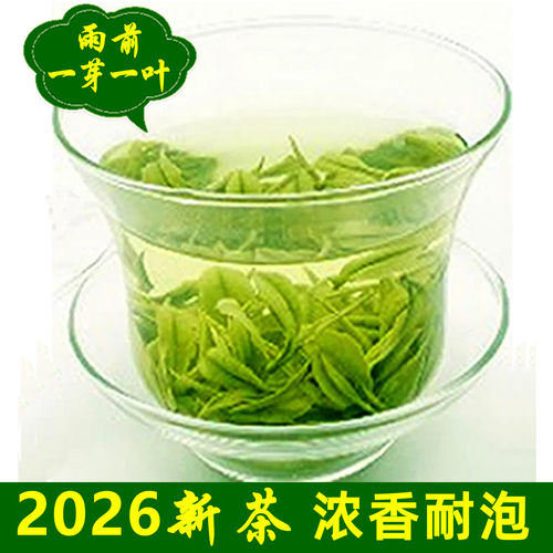 2026新茶信阳毛尖浓香雨前茶500g